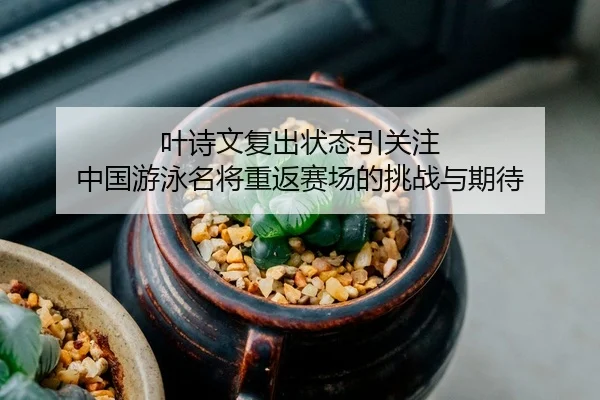 叶诗文复出状态引关注 中国游泳名将重返赛场的挑战与期待