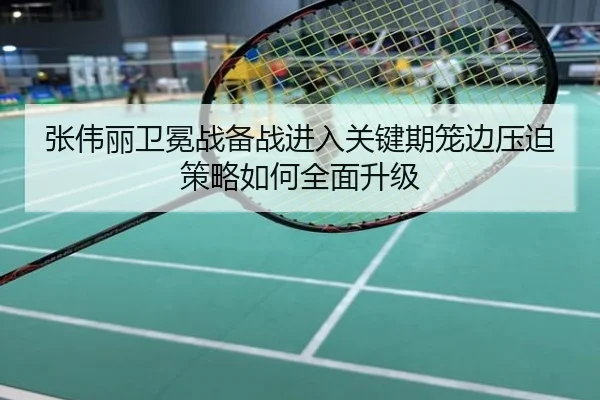 张伟丽卫冕战备战进入关键期笼边压迫策略如何全面升级